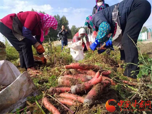 线上线下齐发力 真情助困解民忧 网络达人直播助力销售金昌优质农产品