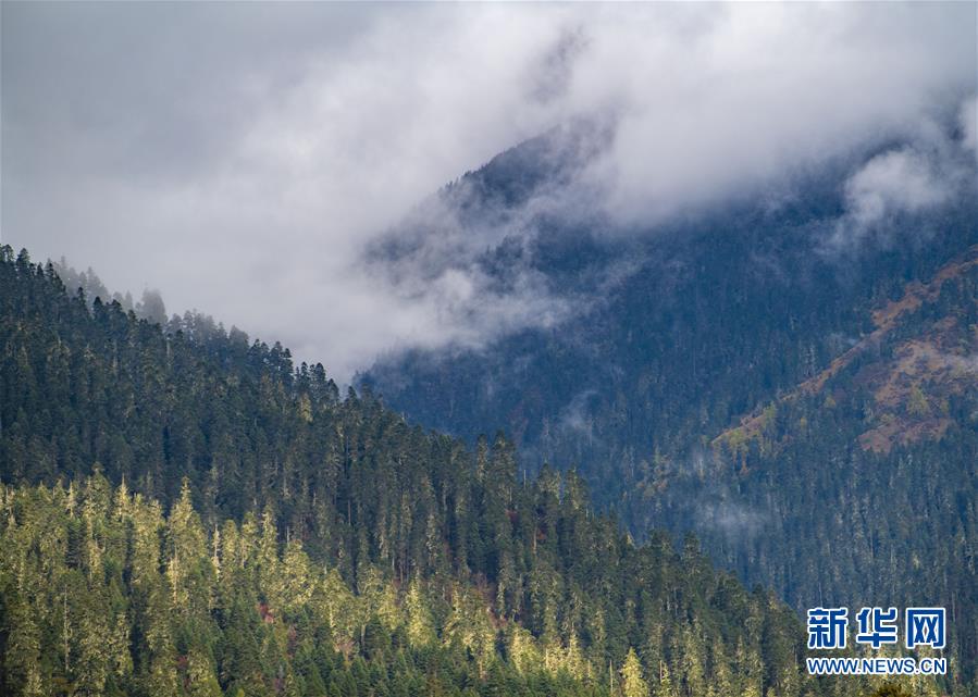 (美丽中国)(2)鲁朗小镇风景如画