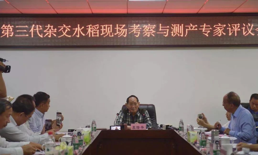 1046.3公斤!袁隆平团队第三代杂交水稻交出最新成绩单