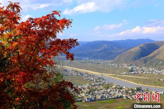 色彩丰富的田园。 马万安 摄 色彩丰富的田园。 马万安 摄