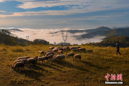 图为在关山山顶的牧羊人。谢国林 摄 图为在关山山顶的牧羊人。谢国林 摄