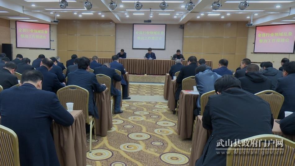 武山县召开行业领域乱象整治工作推进会