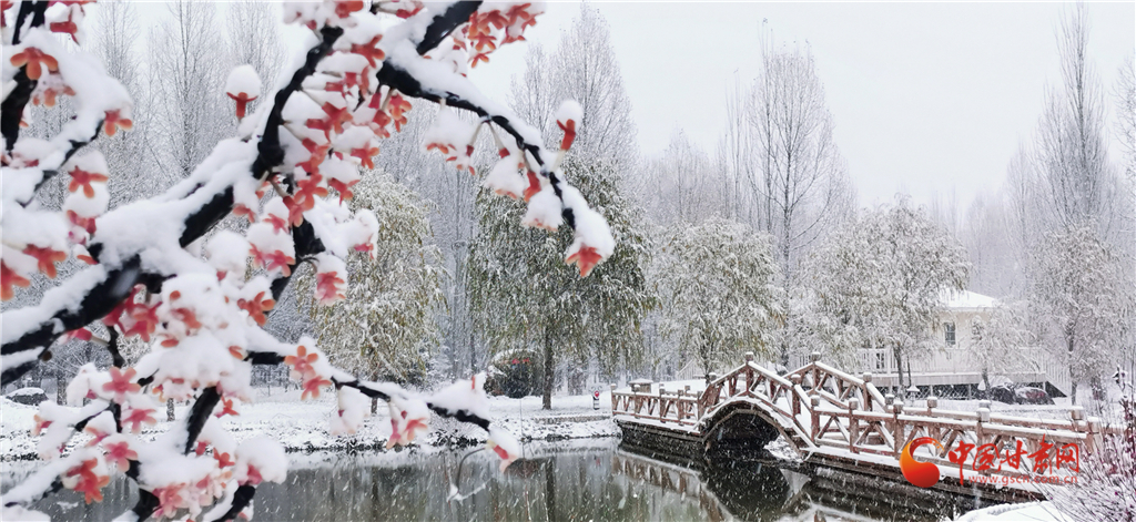 张掖肃南：今冬首雪降落 秋冬风景交融（高清组图）