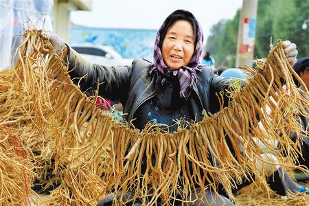 陇西 脱贫路上奋力前行