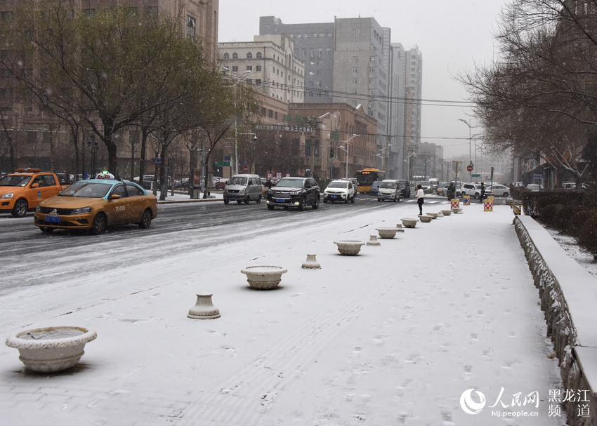 哈尔滨市迎来立冬后首场降雪 跟随镜头感受北国冰雪风光【4】