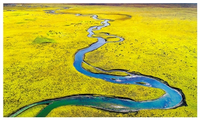 甘南湿地：大地深藏的金色秘境