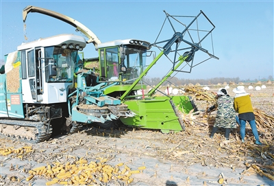 临夏州广河县农业农村局农机服务中心组织农机深入田间地头免费为农户打包玉米秸秆 