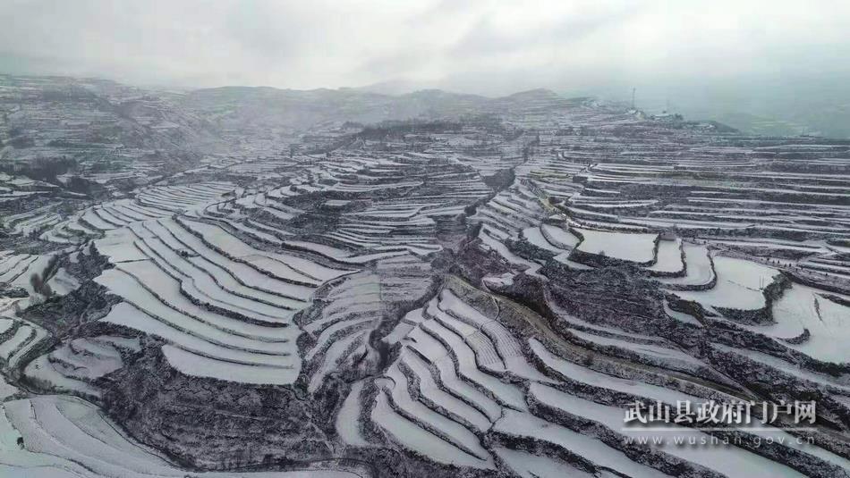 听，雪落在武山这片大地上