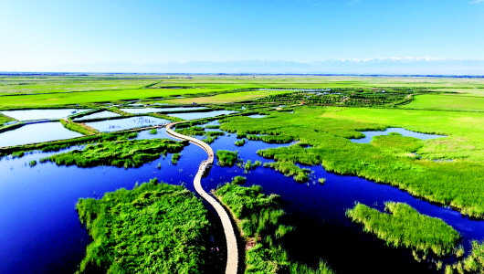 “融”出深度 “加”出空间——肃州区以主题教育推动全域旅游高质量发展