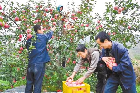 定西人口多少_甘肃定西(3)
