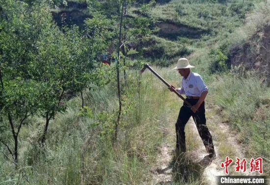 甘肃镇原七旬退休老人义务造林:欲将昔日荒沟变绿洲（最新发布）
