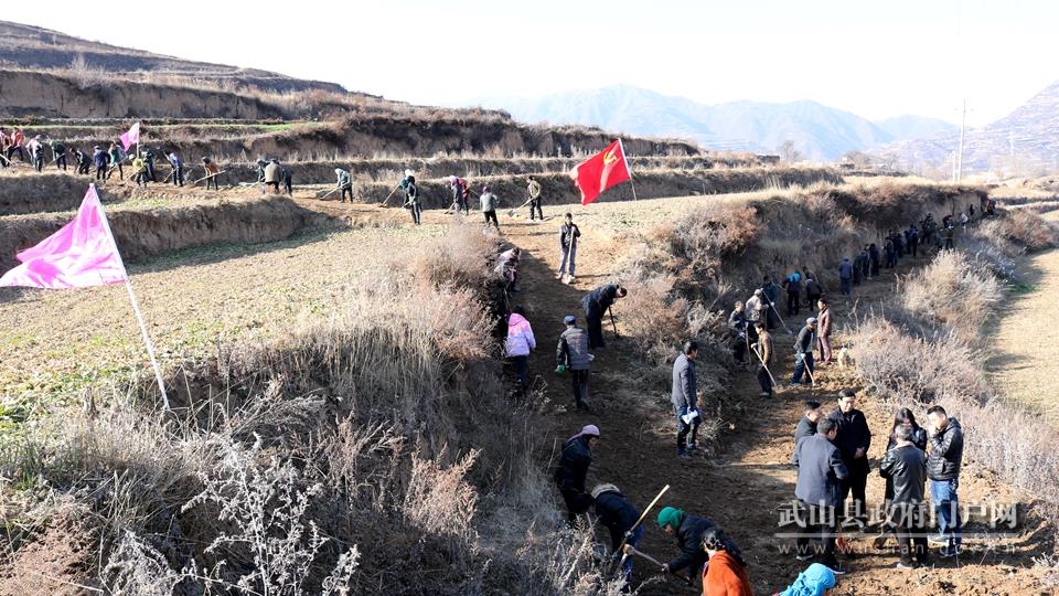 武山杨河镇：党旗迎风展 担当暖民心