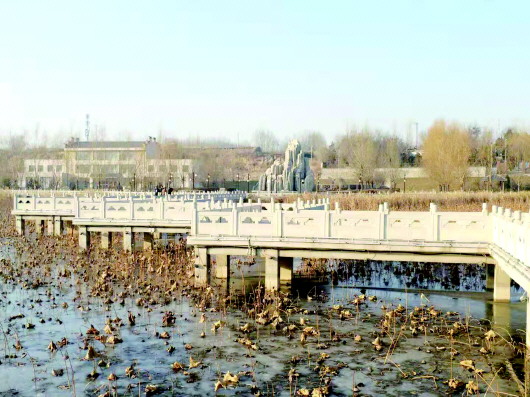 冬韵之水川湿地公园