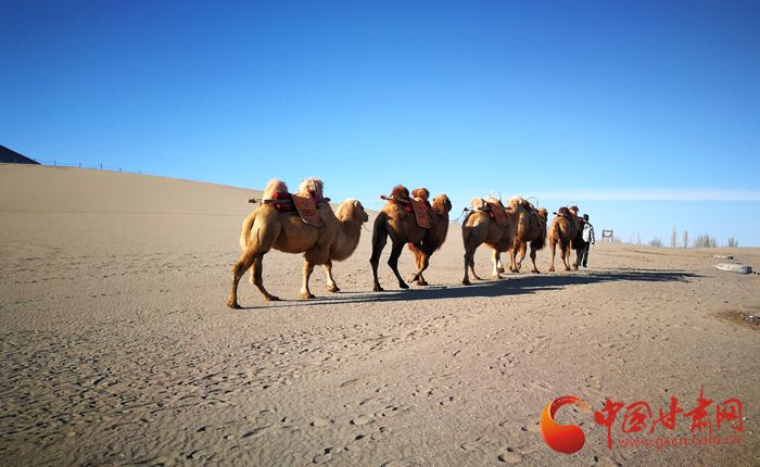 踏丝绸古道 感敦煌魅力 “三区三州·旅游大环线专列”抵达敦煌