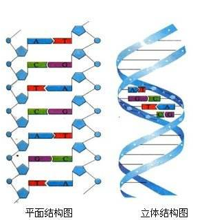 17年前命案遗留物检出DNA 警方比对两大姓氏三千余人破案