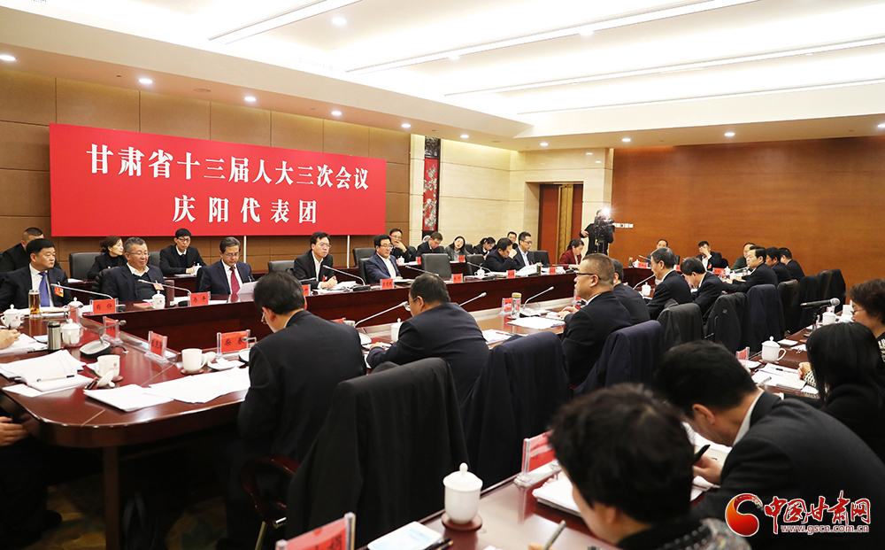 【聚焦2020甘肃两会】省十三届人大三次会议各代表团分组审议《政府工作报告》（组图）