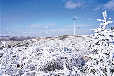 甘肃旅游丨华岭雾凇冰雪节“玉树琼花”美如画