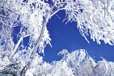 定西通渭县首届“华岭雾凇冰雪节”开幕