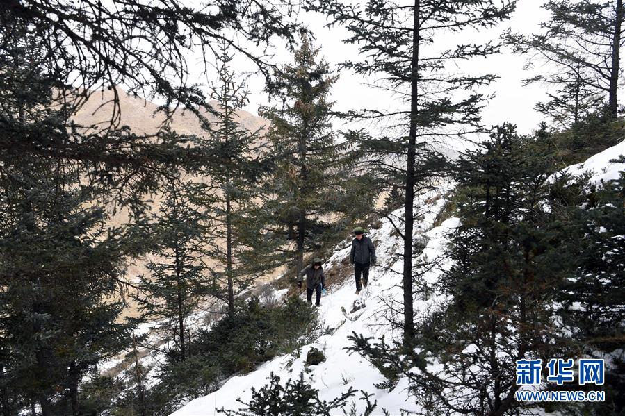 (新春走基层)(6)守护祁连山
