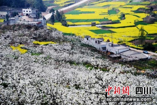 天府新区春季景色。(资料图)
