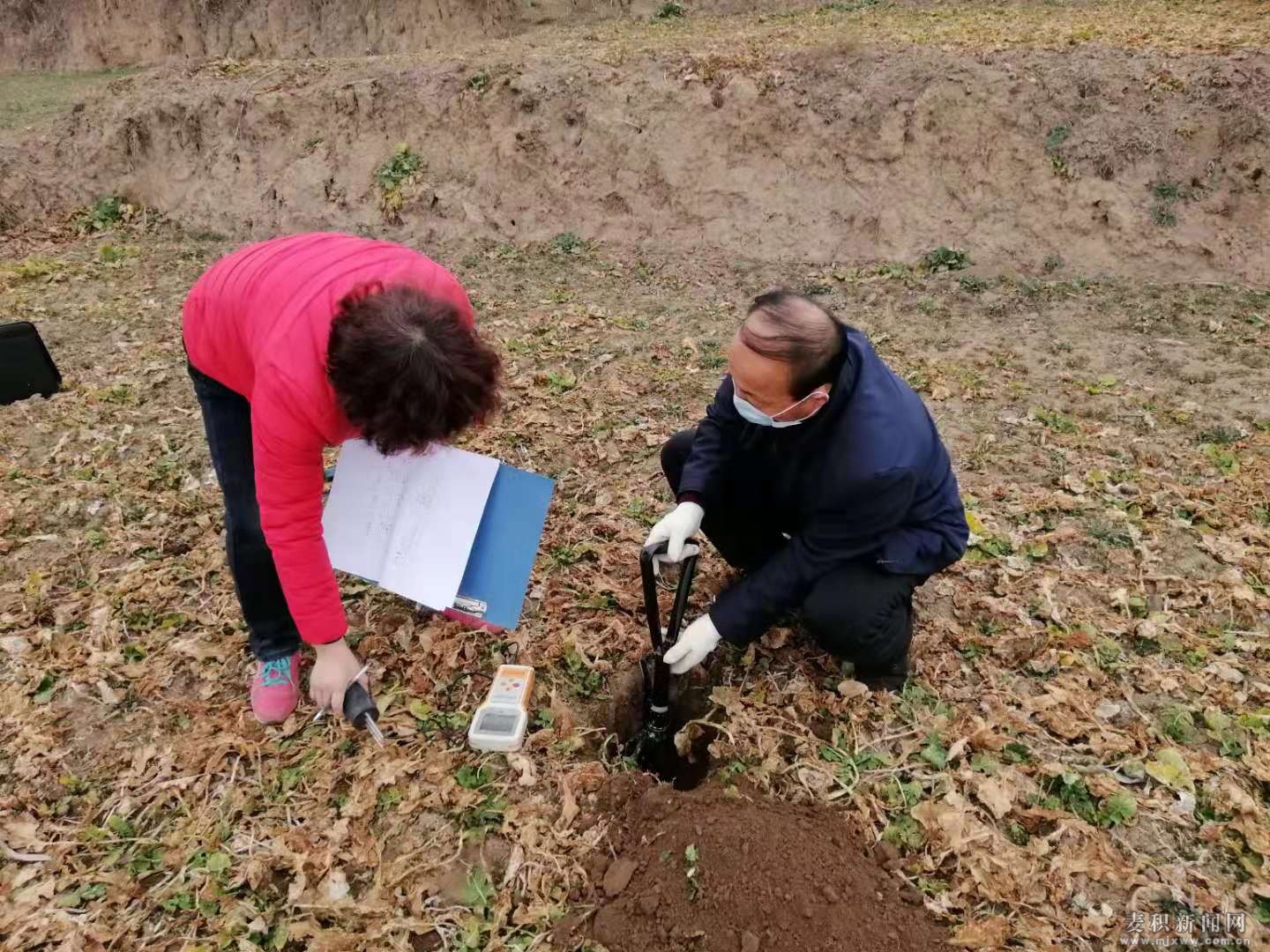 麦积区农业局：抢抓春耕生产时机保供应