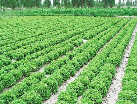 坚持农业绿色导向 引领乡村生态振兴——甘肃省推进农业绿色高质量发展综述