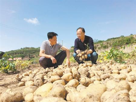 不负农时不负春——甘肃省农科院驻村帮扶人员深入田间帮春耕