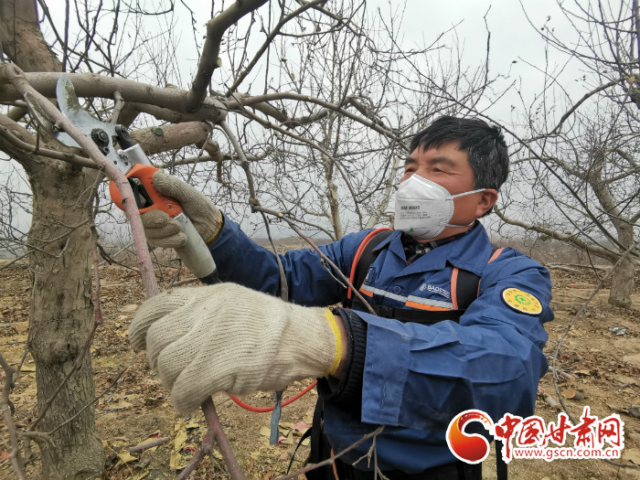 白银靖远：摁下春耕生产键 林果扶贫不松劲