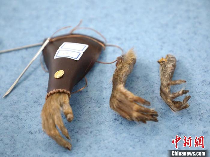 警方查获的野生动物制品 吉林省森林公安局供图 摄 警方查获的野生动物制品 吉林省森林公安局供图 摄