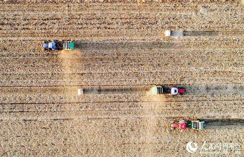 农业机械在呼和浩特市赛罕区前白庙子村回收农田秸秆准备春耕（无人机拍摄）。