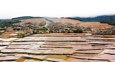 春风送暖大凉山——四川凉山的脱贫之路 春风送暖大凉山——四川凉山的脱贫之路