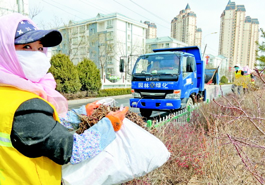 定西：城市绿化管护正当时