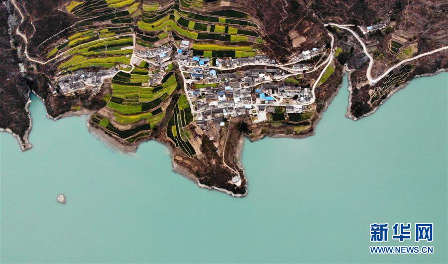 (美丽中国)(4)甘肃文县:油菜花开春光好