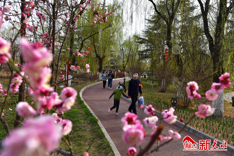 天水：马跑泉公园春意正浓（组图）