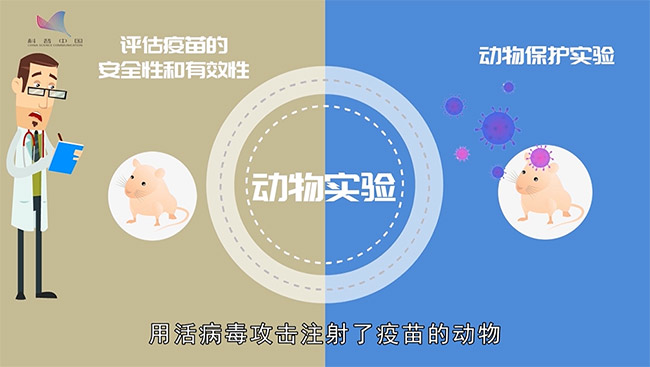 科技战疫系列动画⑤一支疫苗诞生要闯几道关? 科技战疫系列动画⑤一支疫苗诞生要闯几道关?