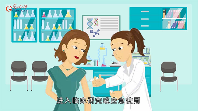 科技战疫系列动画⑤一支疫苗诞生要闯几道关? 科技战疫系列动画⑤一支疫苗诞生要闯几道关?