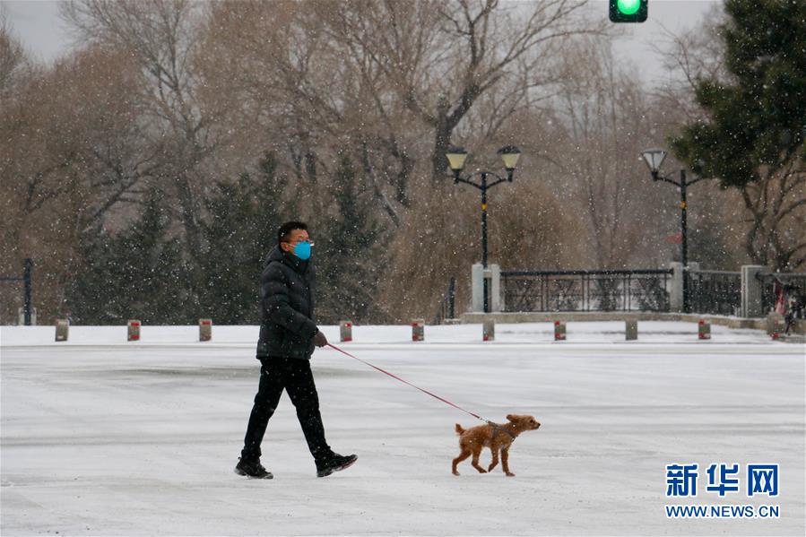 （环境）（1）吉林省多地迎春雪
