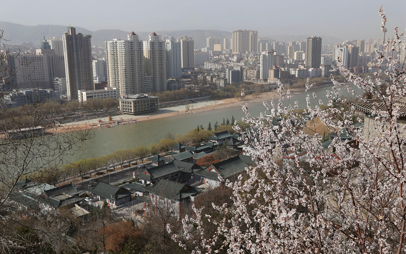 【春暖花开·兰州】白塔层峦觅花海 一场春雨一城春 