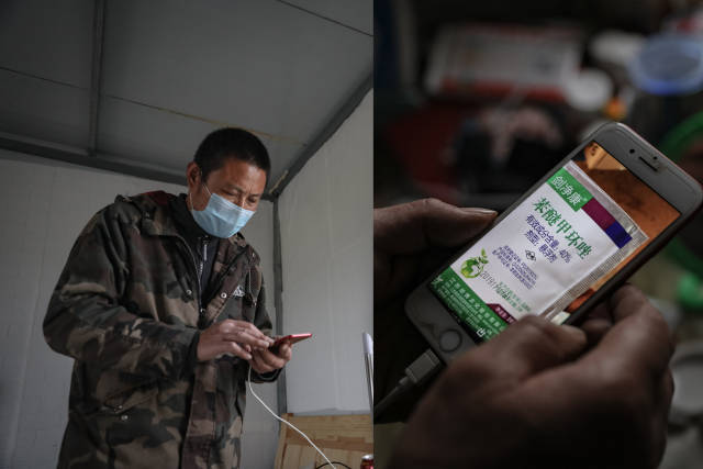 担心花卉出现“白粉病”,陆成权在微信上向一位老师傅讨教。 担心花卉出现“白粉病”,陆成权在微信上向一位老师傅讨教。