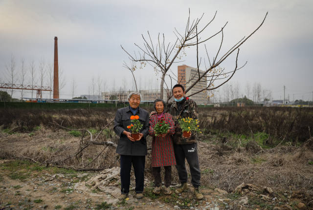 生产和市场恢复后，陆成权希望将赚到的资金用于扩大种植规模，把身后这片荒地也包下来。