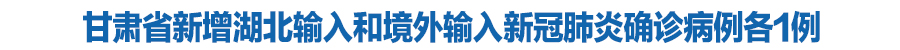 甘肃省新增湖北输入和境外输入新冠肺炎确诊病例各1例