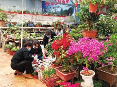 按下恢复键 兰州花鱼市场满目春色