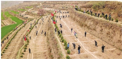 驻峰机关单位干部职工赴毛寺村开展义务植树活动