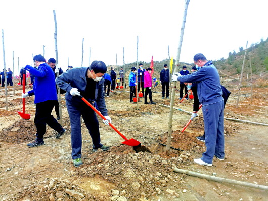 让绿色在这里扎根——白银平川区开展春季义务植树造林活动侧记