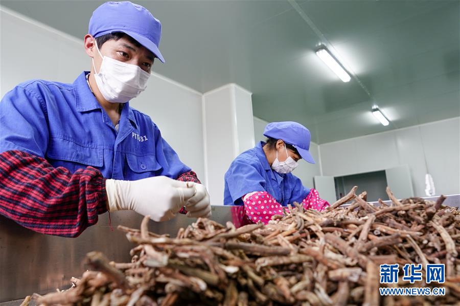 （图文互动）（3）花儿为什么这样红——重庆垫江牡丹产业发展观察