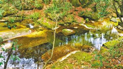 甘肃旅游丨八福沟，西秦岭深处的水韵秘境