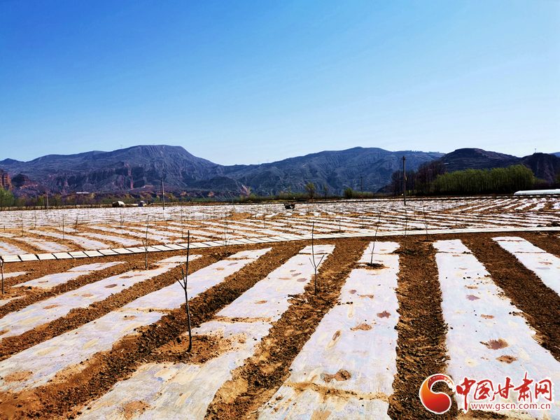 【甘肃省决战决胜脱贫攻坚】临夏积石山：“诗意田园”让群众“足不出户”富口袋