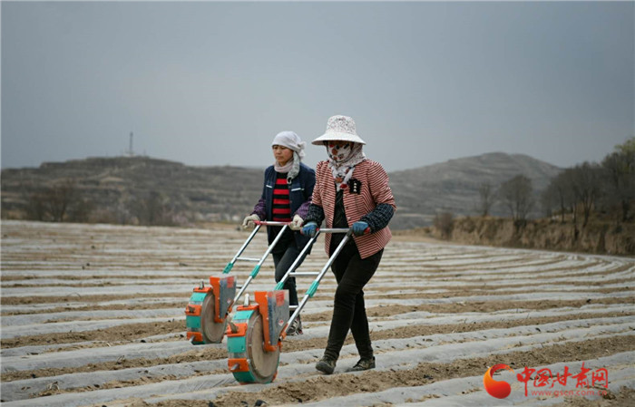 【甘肃省决战决胜脱贫攻坚】兰州榆中：加快农业产业转型升级带动群众增收致富
