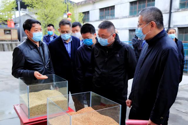 新华社甘肃分社社长任卫东一行调研红川酒业,在这方面给予赞扬