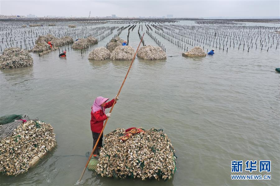 #（经济）（2）福建南安：生产稳步推进